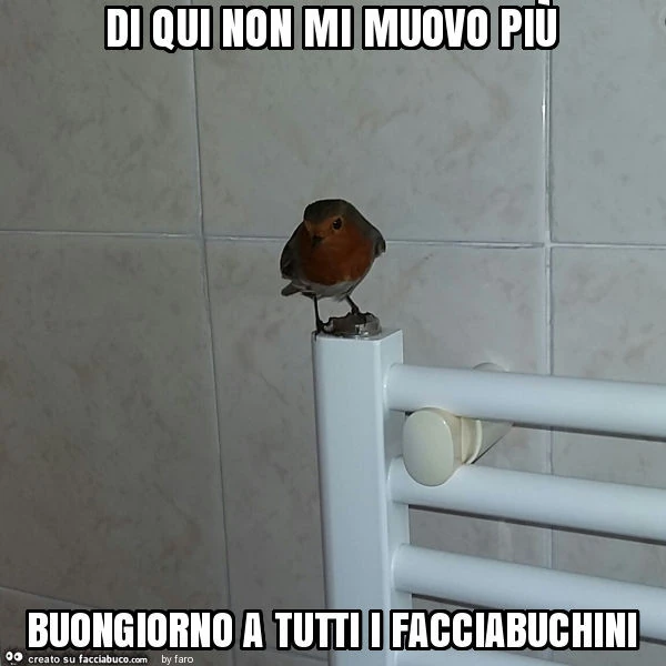 Di qui non mi muovo più buongiorno a tutti i facciabuchini