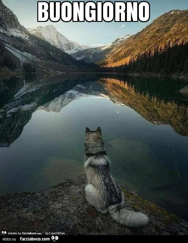 Buongiorno