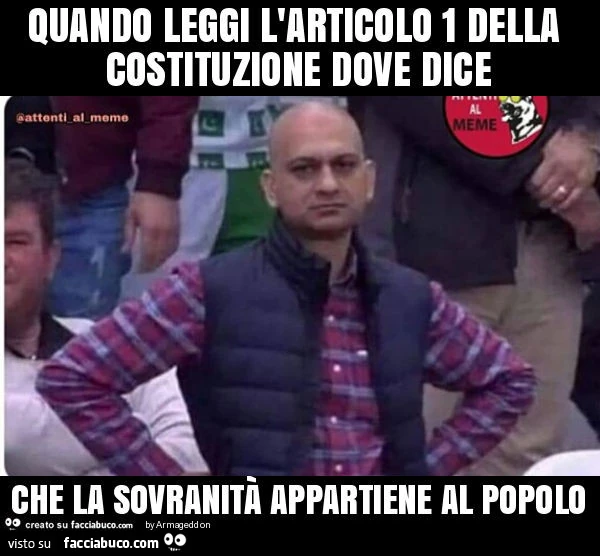 Quando leggi l'articolo 1 della costituzione dove dice che la sovranità appartiene al popolo