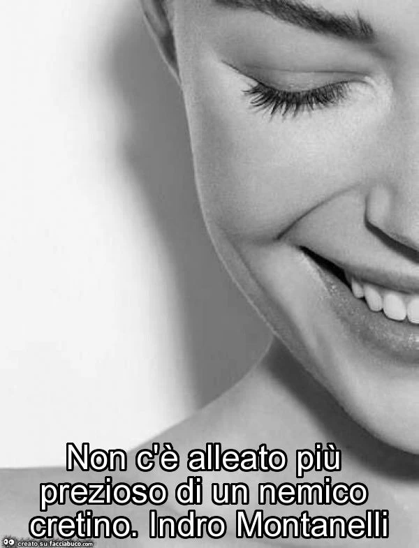 Non c'è alleato più prezioso di un nemico cretino. Indro montanelli