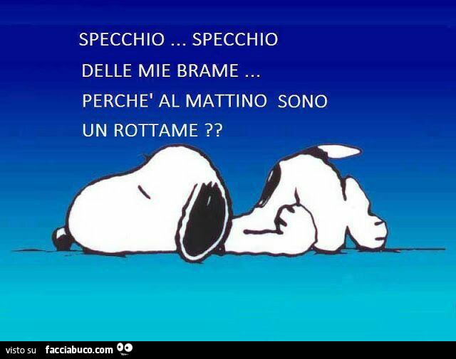 Specchio specchio delle mie brame. Perchè al mattino sono un rottame?