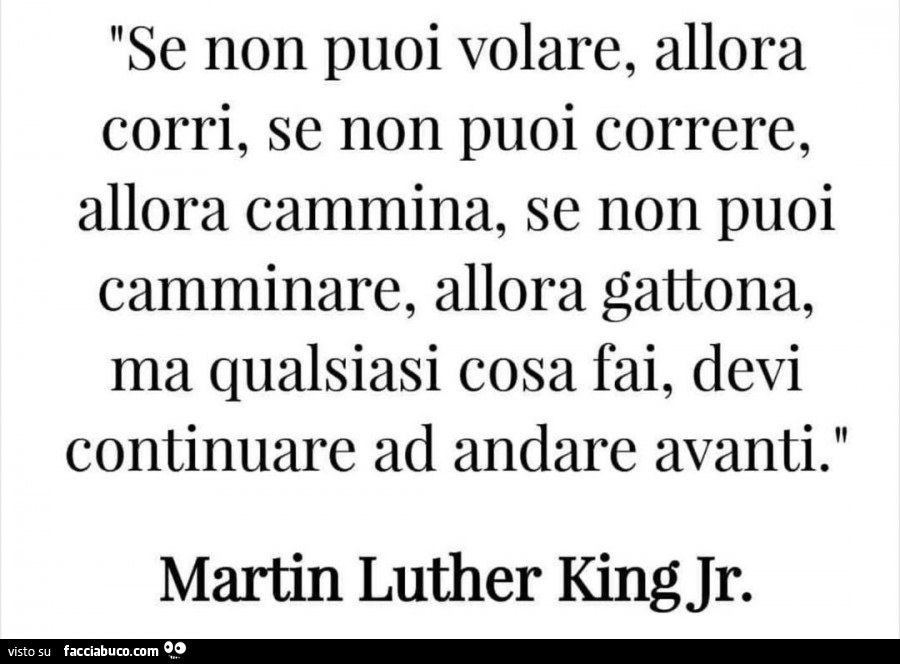 Se non puoi volare, allora corri, se non puoi correre, allora cammina, se non puoi camminare, allora gattona, ma qualsiasi cosa fai, devi continuare ad andare avanti. Martin Luther King Jr
