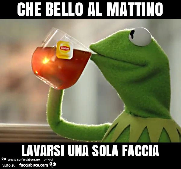 Che bello al mattino lavarsi una sola faccia