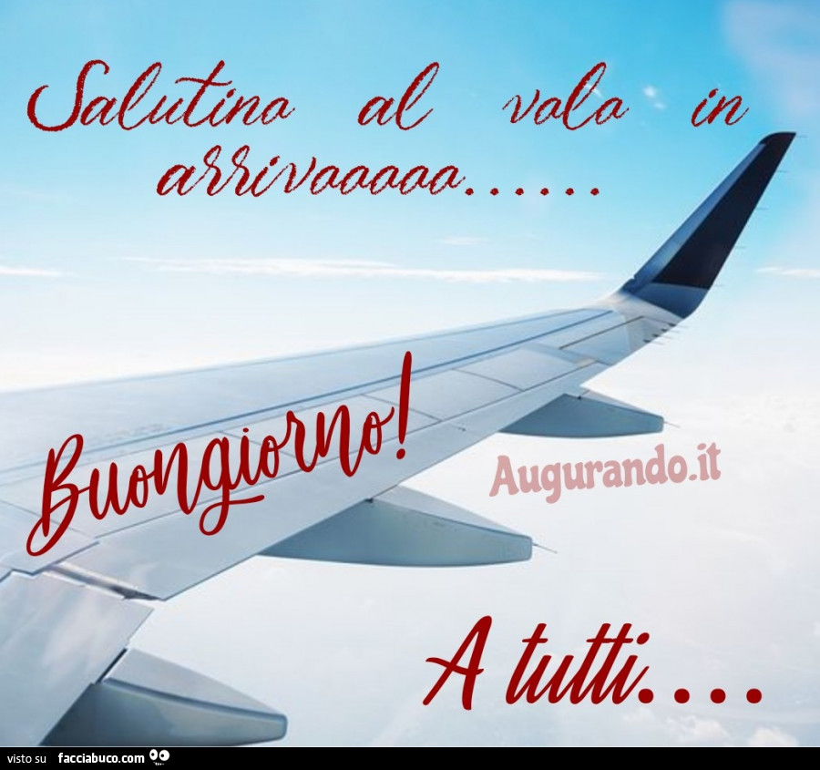 Salutino al volo in arrivo. Buongiorno a tutti - Facciabuco.com