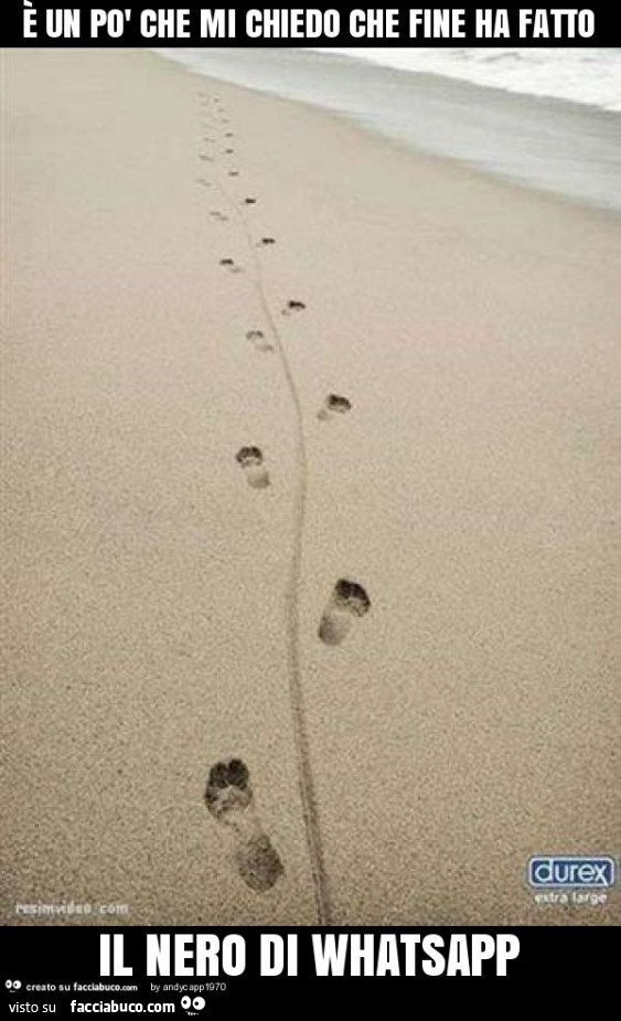 È un po' che mi chiedo che fine ha fatto il nero di whatsapp