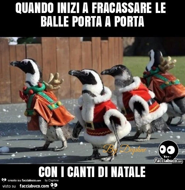 Quando inizi a fracassare le balle porta a porta con i canti di natale