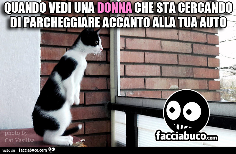 Quando vedi una donna che sta cercando di parcheggiare accanto alla tua auto