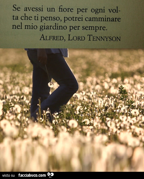 Se avessi un fiore per ogni volta che ti penso, potrei camminare nel mio giardino per sempre. Alfred, lord tennyson