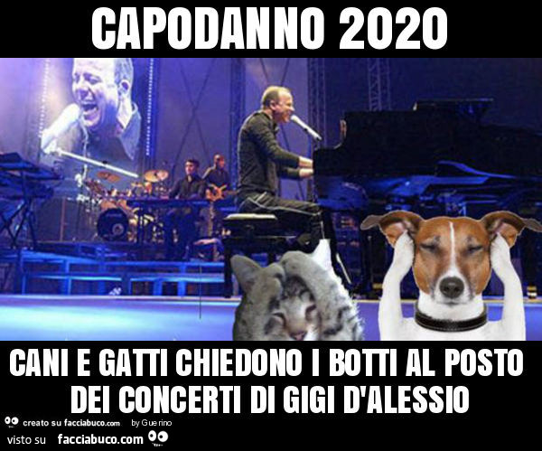 Capodanno 2020 cani e gatti chiedono i botti al posto dei concerti di gigi d'alessio