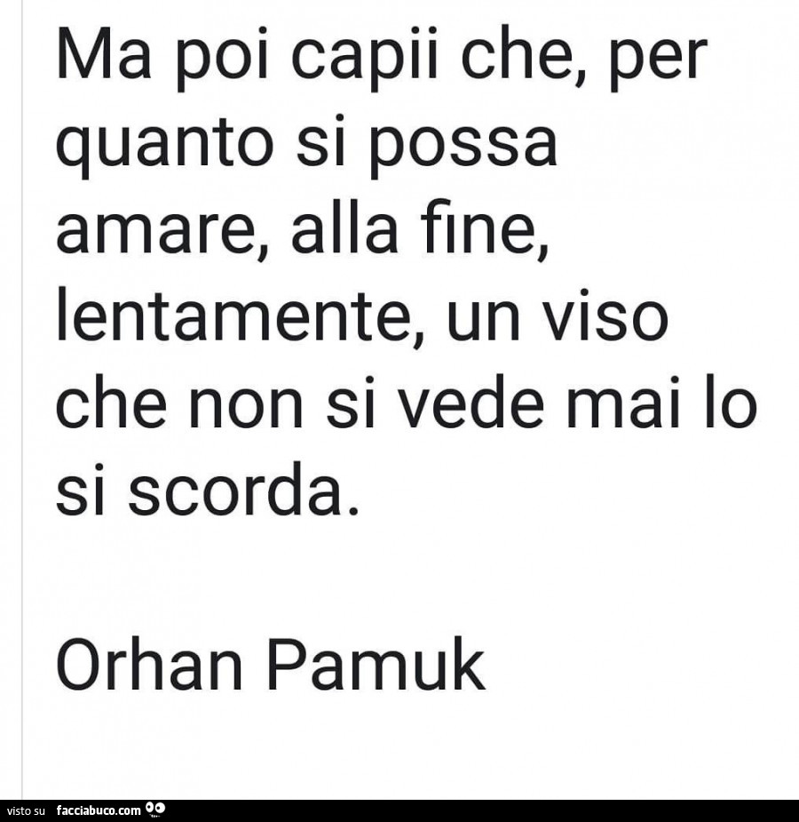 Ma poi capii che, per quanto si possa amare, alla fine, lentamente, un viso che non si vede mai lo si scorda. Orhan Pamuk