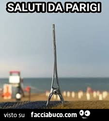 Forcina