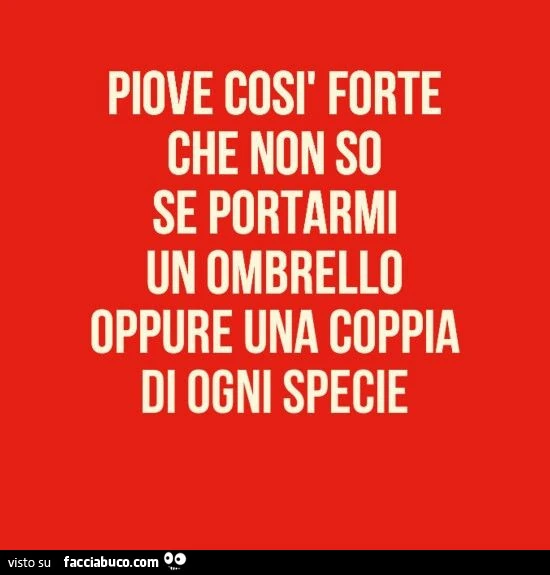 Piove così forte che non so se portarmi un ombrello oppure una coppia di ogni specie