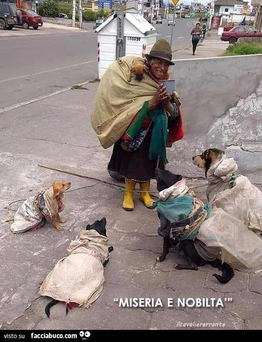 Anziana povera con i cani. Miseria e nobiltà