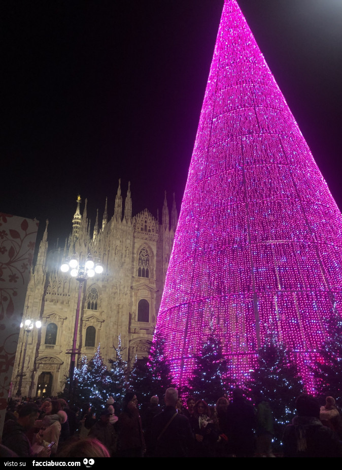 Albero di Natale al Duomo di Milano