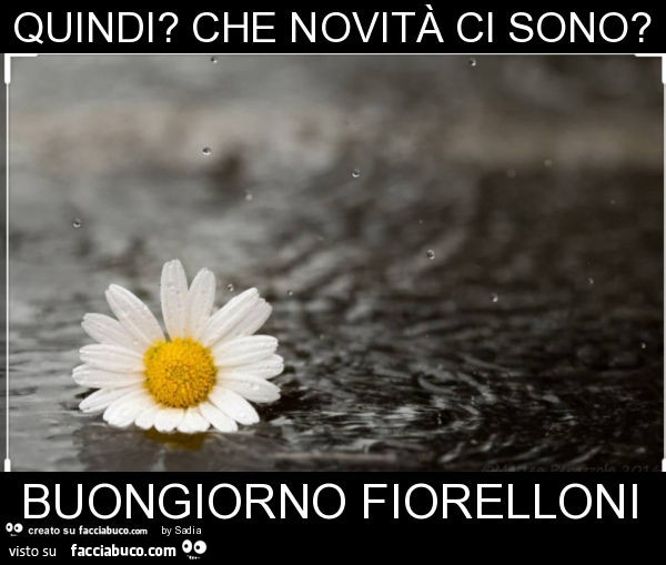 Quindi? Che novità ci sono? Buongiorno fiorelloni