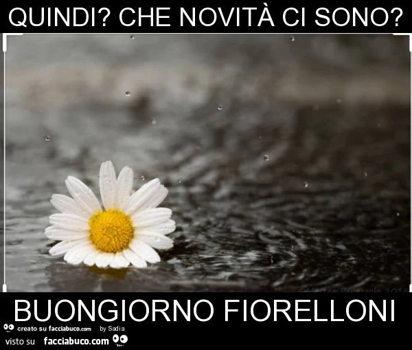 Quindi? Che novità ci sono? Buongiorno fiorelloni