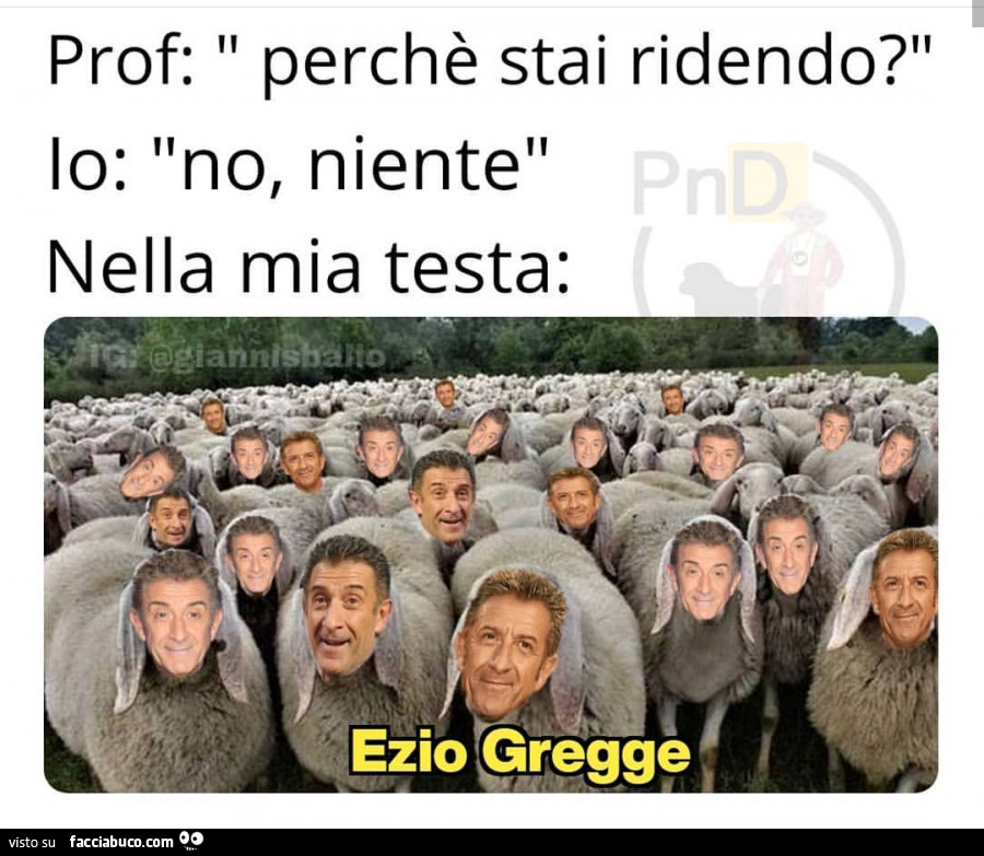Perché stai ridendo?