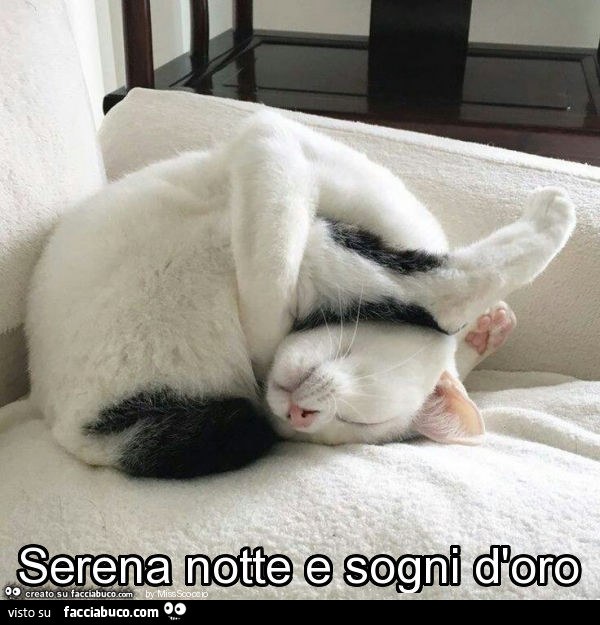 Serena notte e sogni d'oro