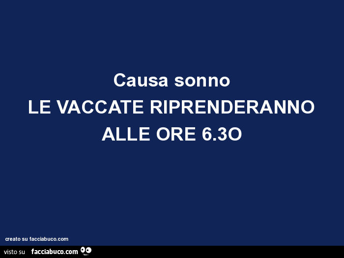 Causa sonno le vaccate riprenderanno alle ore 6.3o