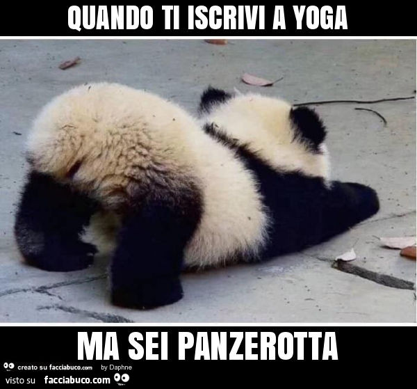 Quando ti iscrivi a yoga ma sei panzerotta