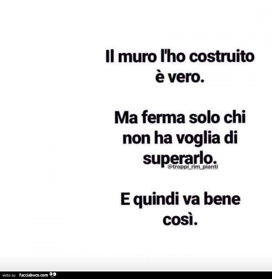 Il muro l'ho costruito, è vero. Ma ferma solo chi non ha voglia di superarlo. E quindi va bene così