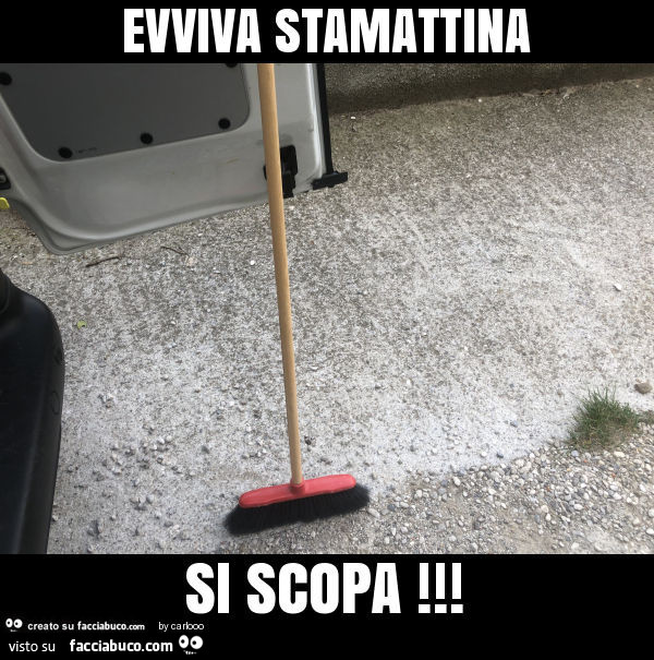 Evviva stamattina si scopa