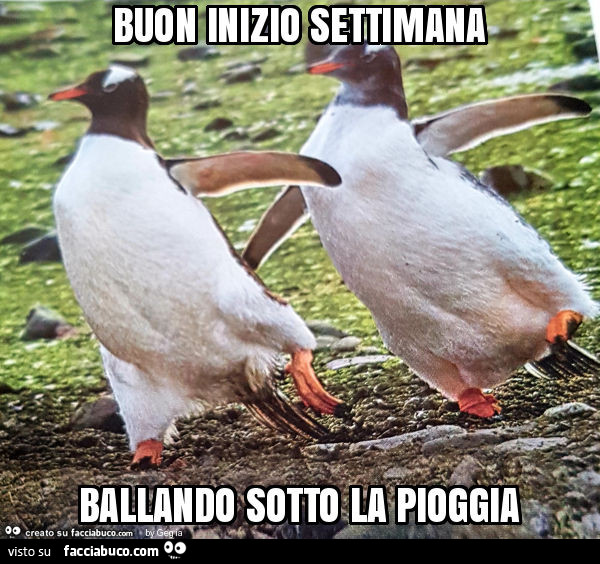 Buon inizio settimana ballando sotto la pioggia