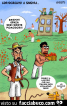 Vaccata