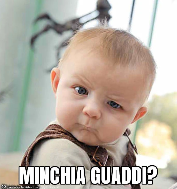 Minchia guaddi?