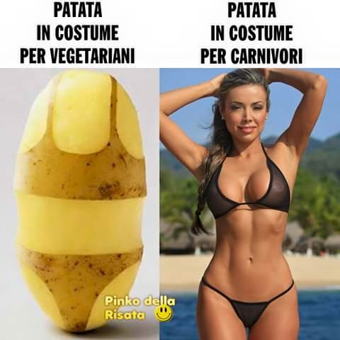 Vaccata