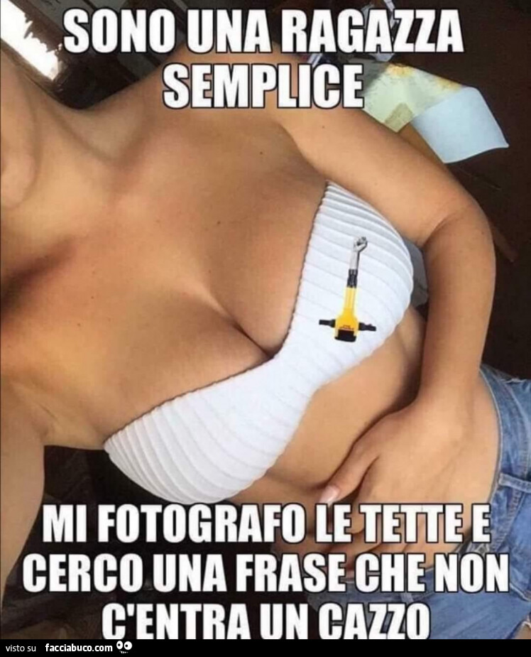 Sono una ragazza semplice, mi fotografo le tette e, cerco una frase che non c'entra un cazzo