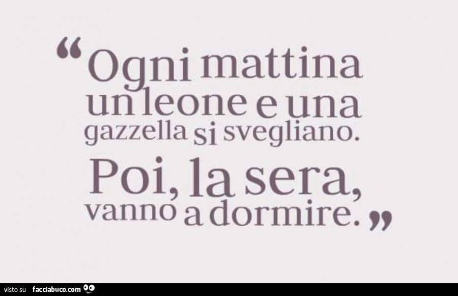 Ogni mattina un leone e una gazzella si svegliano. Poi, la sera, vanno a dormire