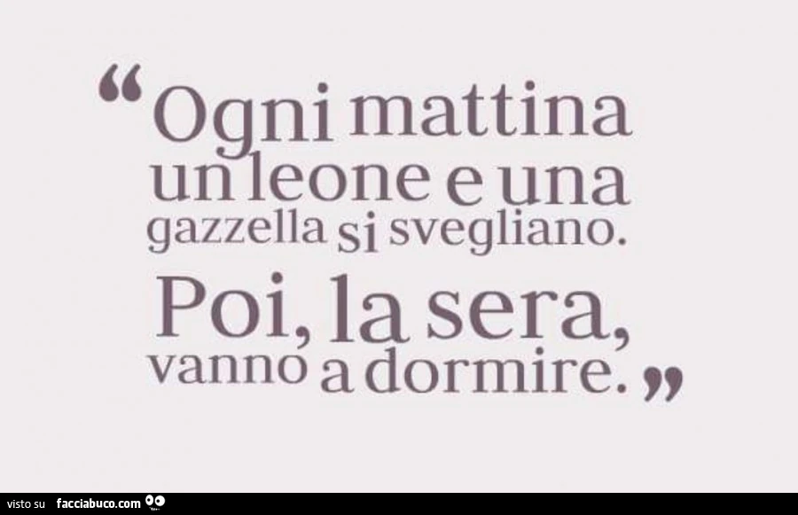 Ogni mattina un leone e una gazzella si svegliano. Poi, la sera, vanno a dormire