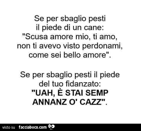 Se per sbaglio pesti il piede di un cane: scusa amore mio, ti amo, non ti avevo visto perdonami, come sei bello amore. Se per sbaglio pesti il piede del tuo fidanzato: uah, è stai semp annanz ò cazz