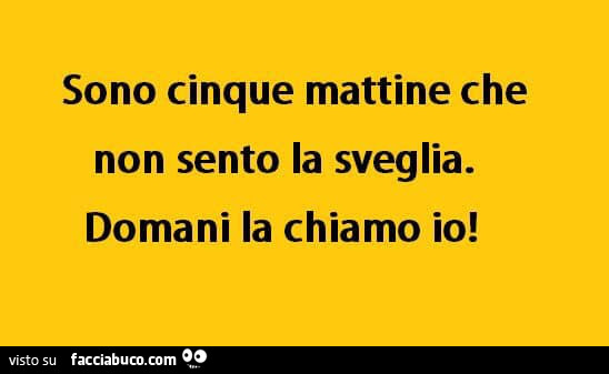 Sono cinque mattine che non sento la sveglia. Domani la chiamo io