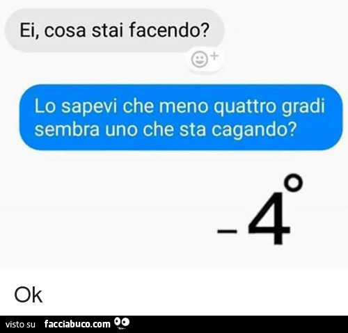 Ei, cosa stai facendo? Lo sapevi che meno quattro gradi sembra uno che sta cagando? Ok