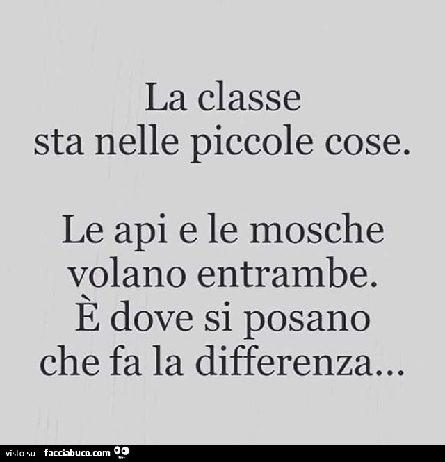 La classe sta nelle piccole cose. Le api e le mosche volano entrambe. È Dove si posano che fa la differenza