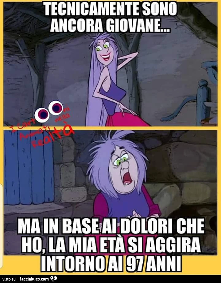 Vaccata