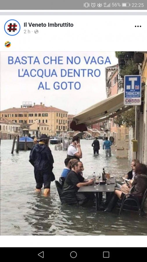 Vaccata