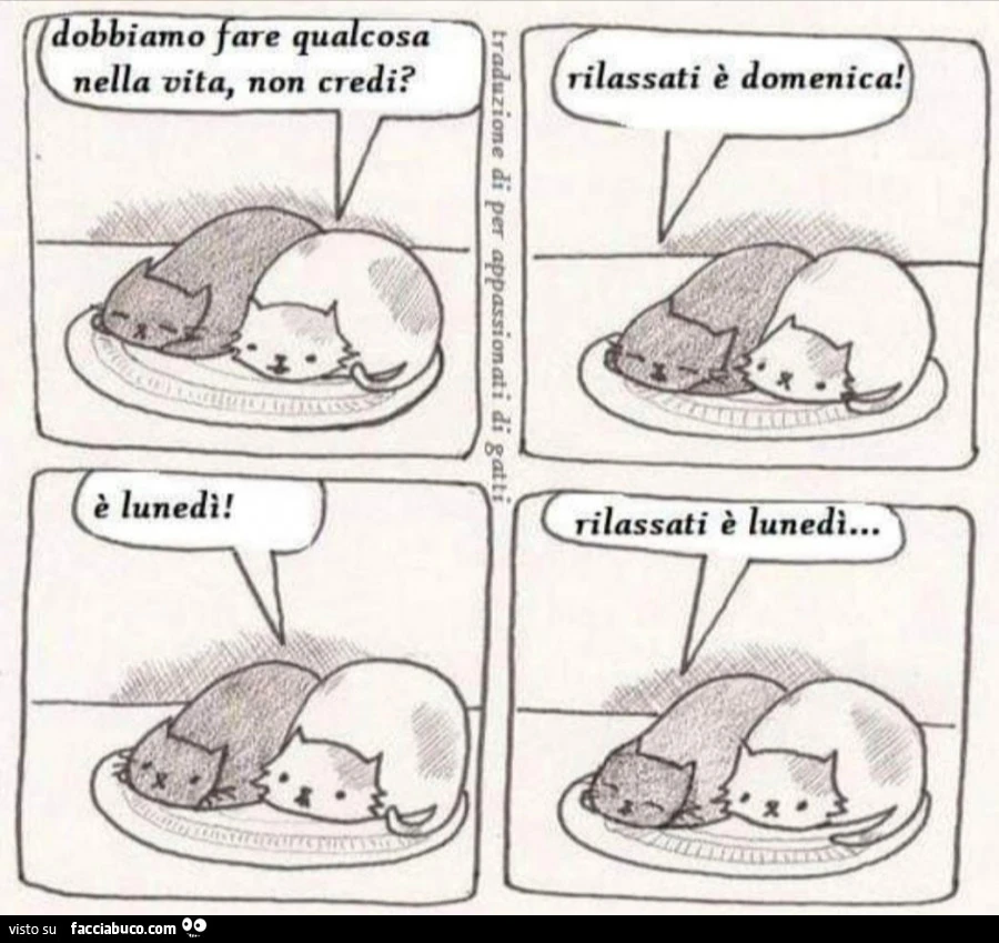 Dobbiamo fare qualcosa nella vita, non credi? Rilassati è domenica