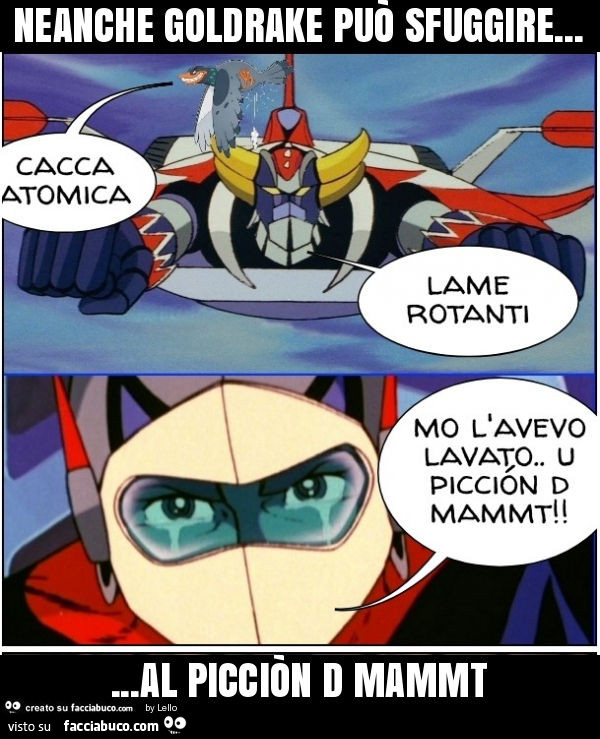 Neanche goldrake può sfuggire… al picciòn d mammt
