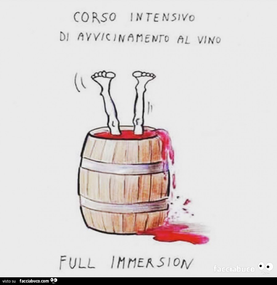 Corso intensivo di avvicinamento al vino. Full immersion