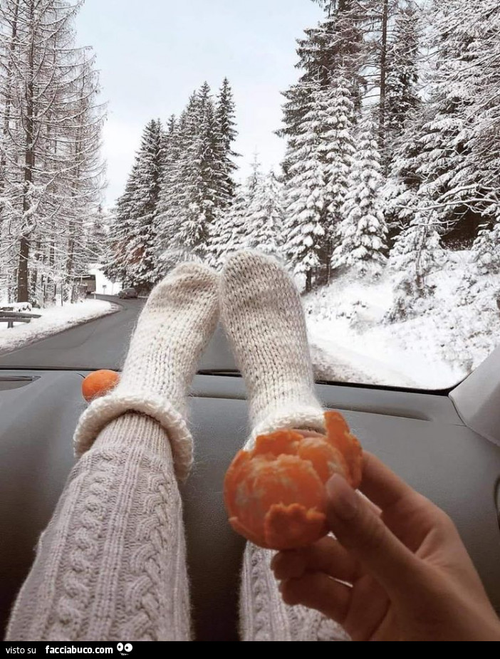Mandarino in auto in mezzo alla neve