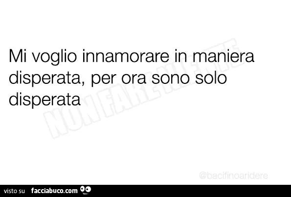 Mi voglio innamorare in maniera disperata, per ora sono solo disperata