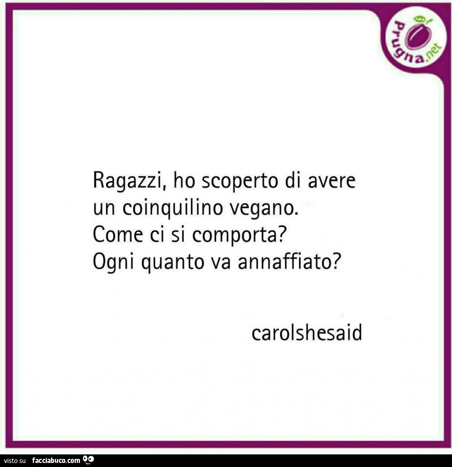 Ragazzi, ho scoperto di avere un coinquilino vegano. Come ci si comporta? Ogni quanto va annaffiato?