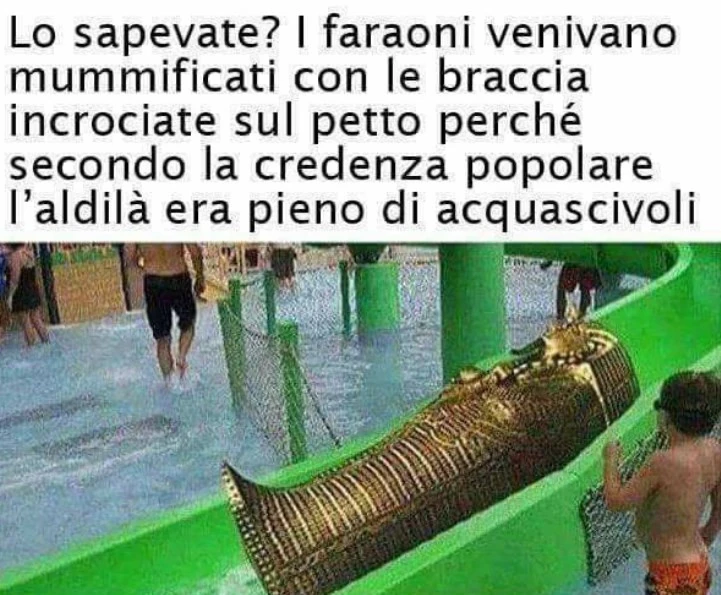 Vaccata