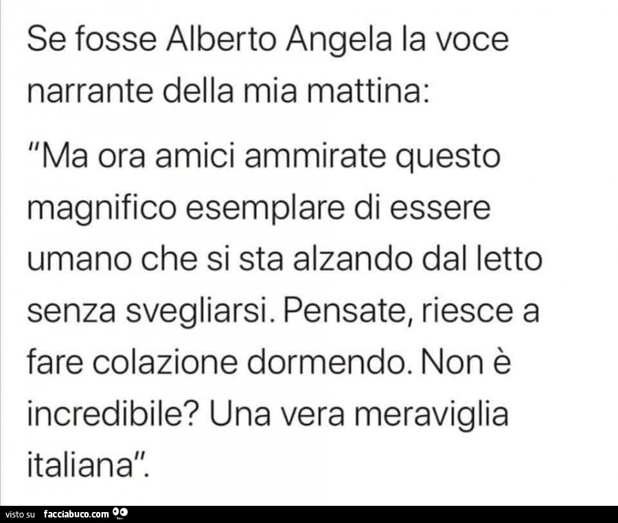 Se fosse alberto angela la voce narrante della mia mattina: ma ora amici ammirate questo magnifico esemplare di essere umano che si sta alzando dal letto senza svegliarsi. Pensate, riesce a fare colazione dormendo. Non è incredibile?