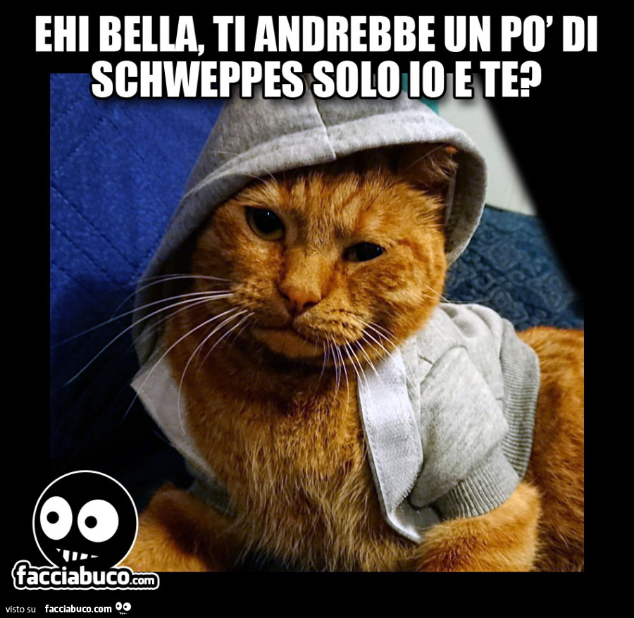 Ehi bella, ti andrebbe un po' di schweppes solo io e te?