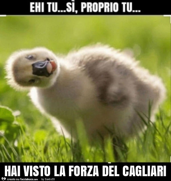Hai visto la forza del cagliari