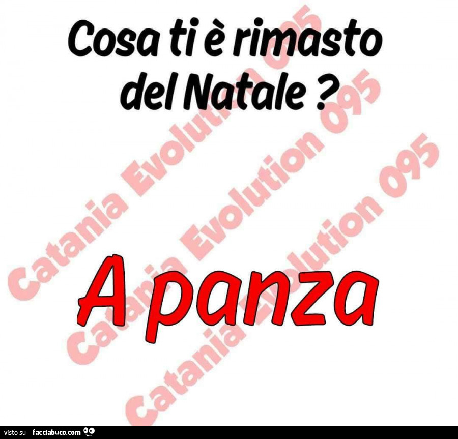 Cosa Ti E Rimasto Del Natale A Panza Facciabuco Com